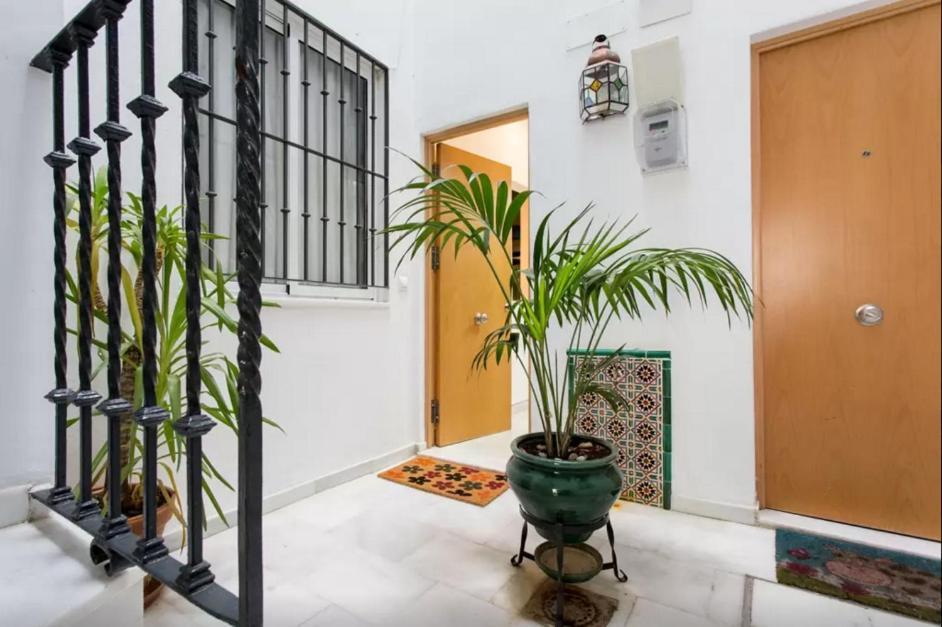 Estudio En El Corazon De Sevilla Bagian luar foto